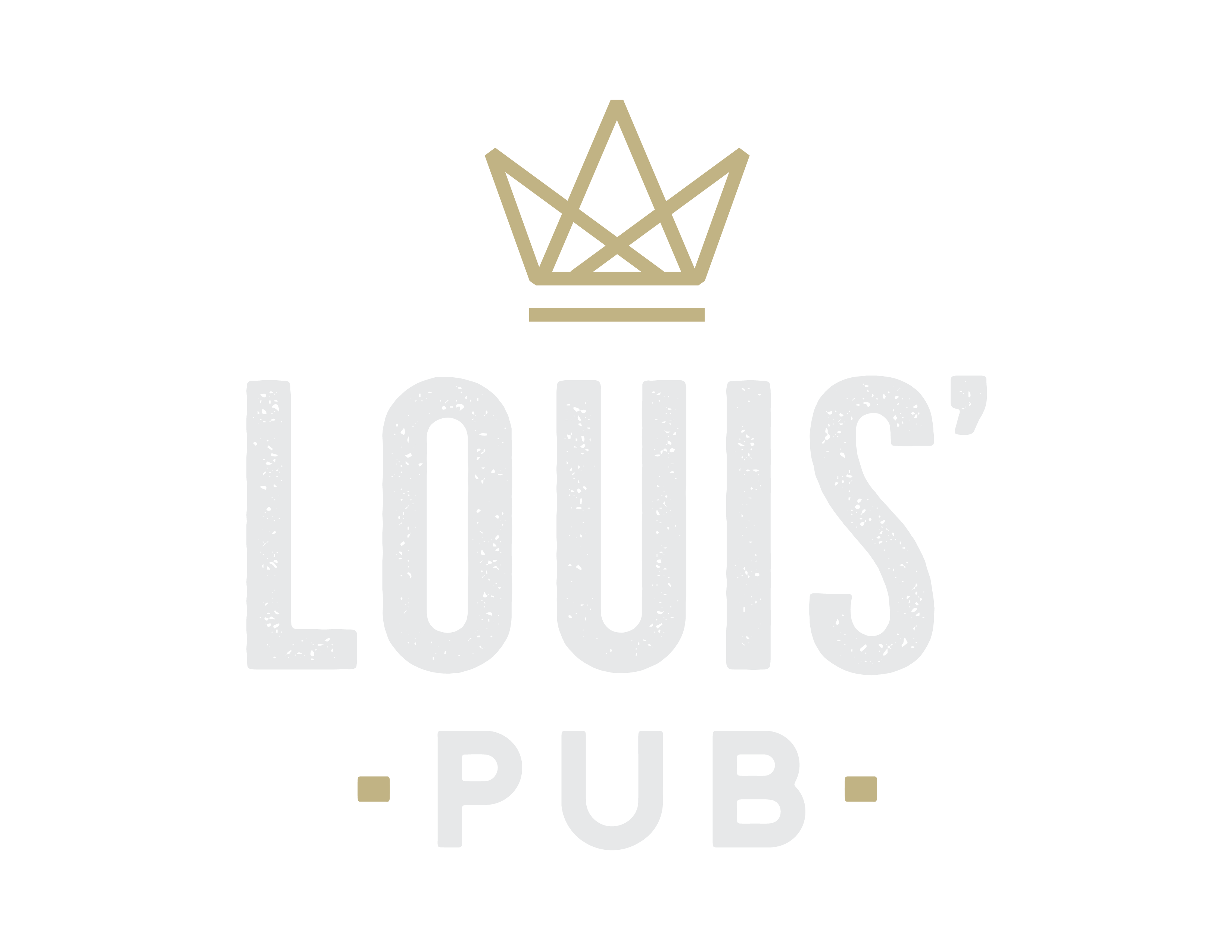 Logo_Louis__VertiREV